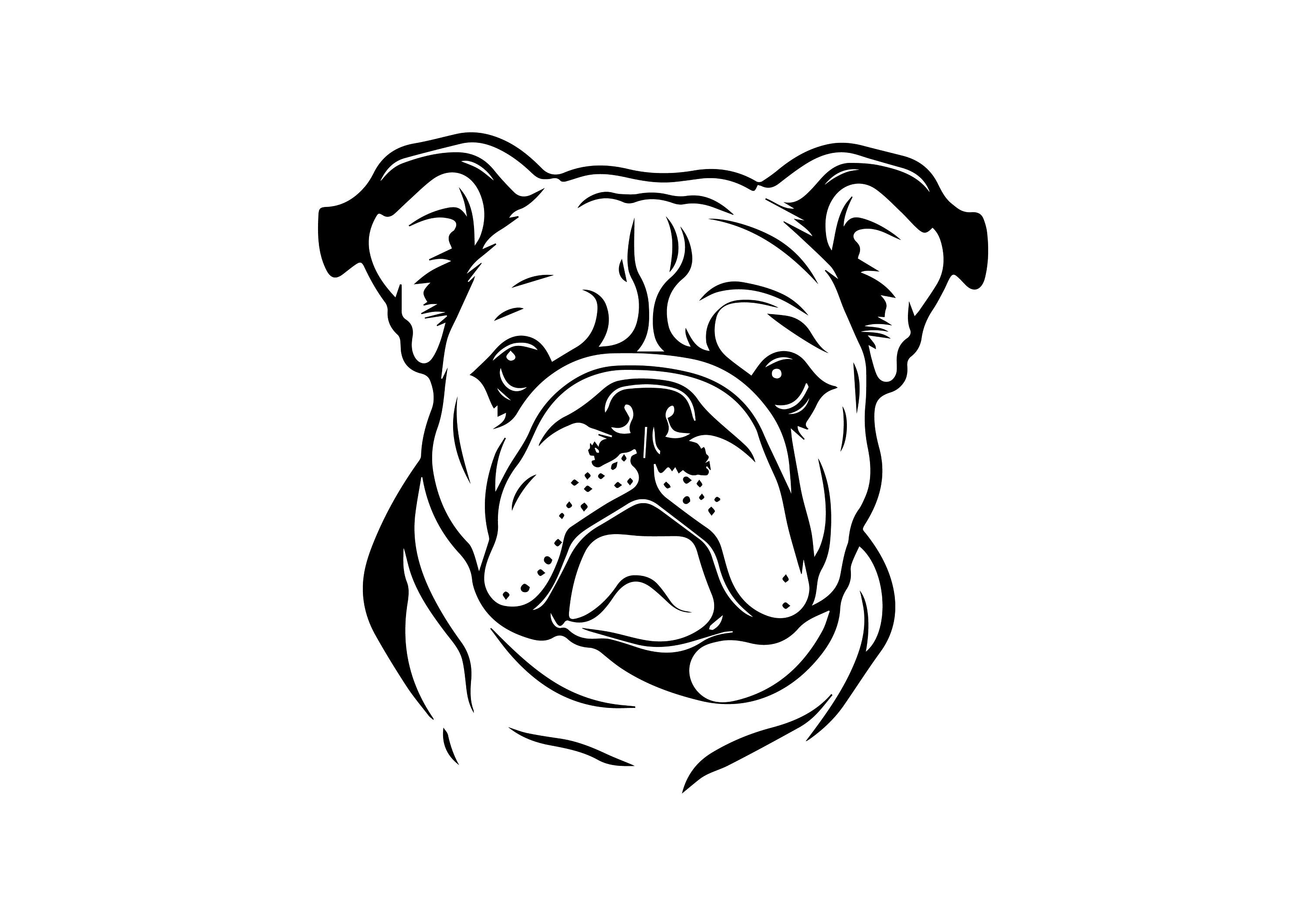 Bulldog