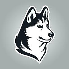 Siberian Husky