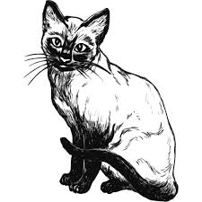 Siamese
