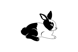 Dutch rabbit