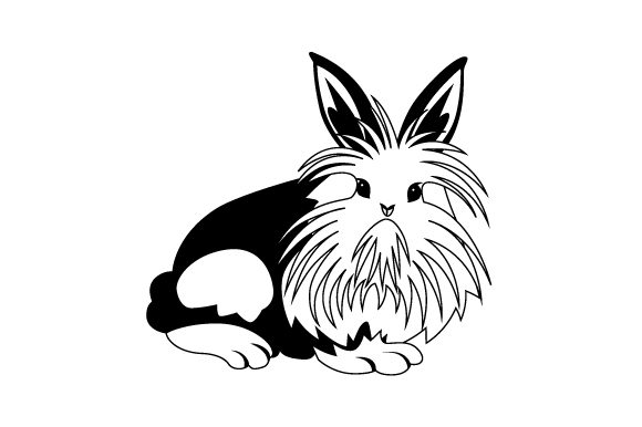 Lionhead rabbit